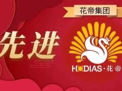 榜樣的力量 | 花帝HODIAS12月份先進員工