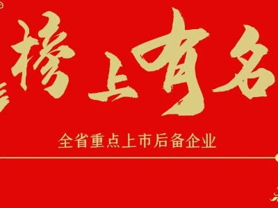 榜上有名 | 全省重點(diǎn)上市后備企業(yè)